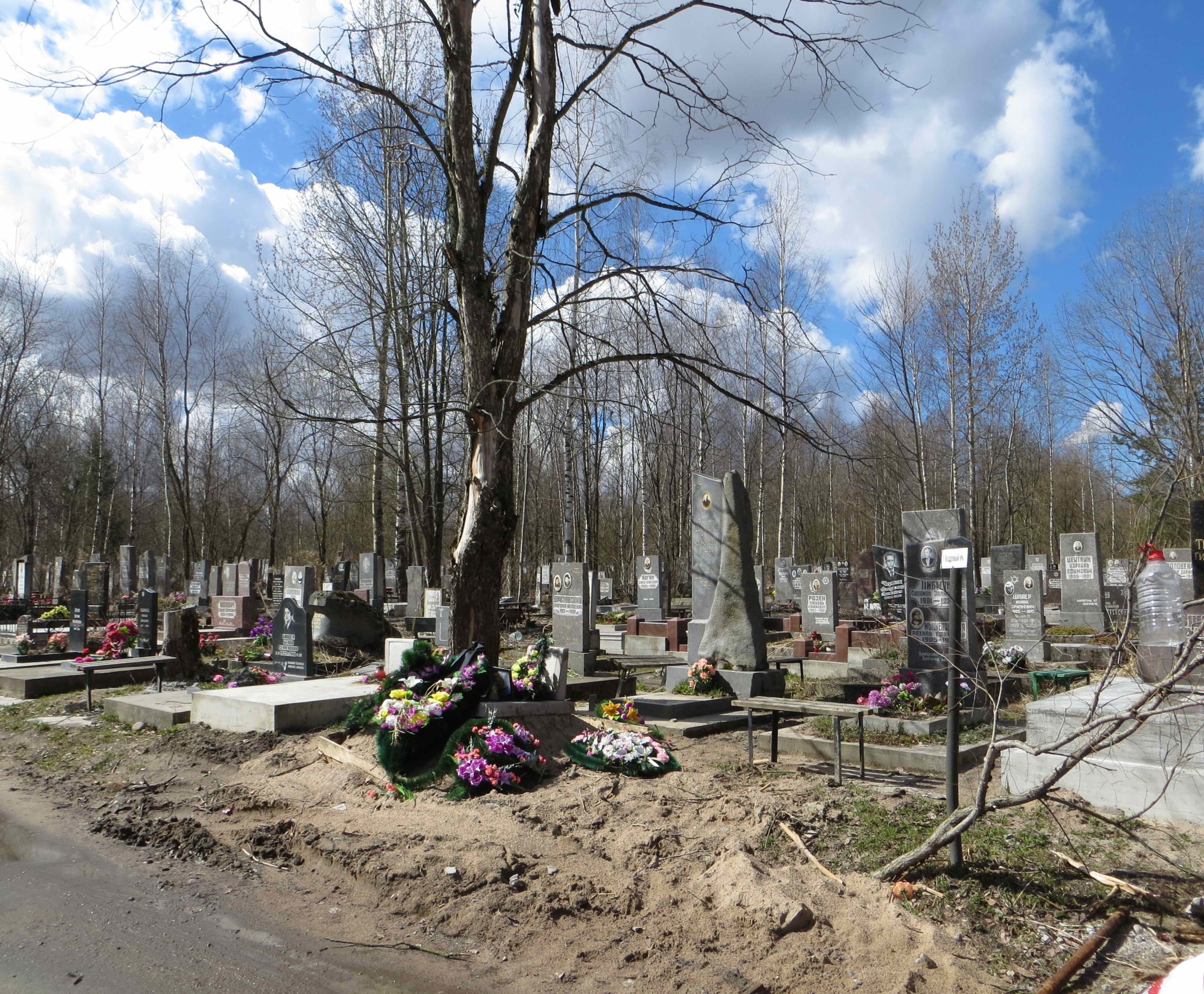 Южное кладбище в Санкт-Петербурге