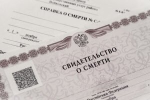 Услуги по оформлению документов